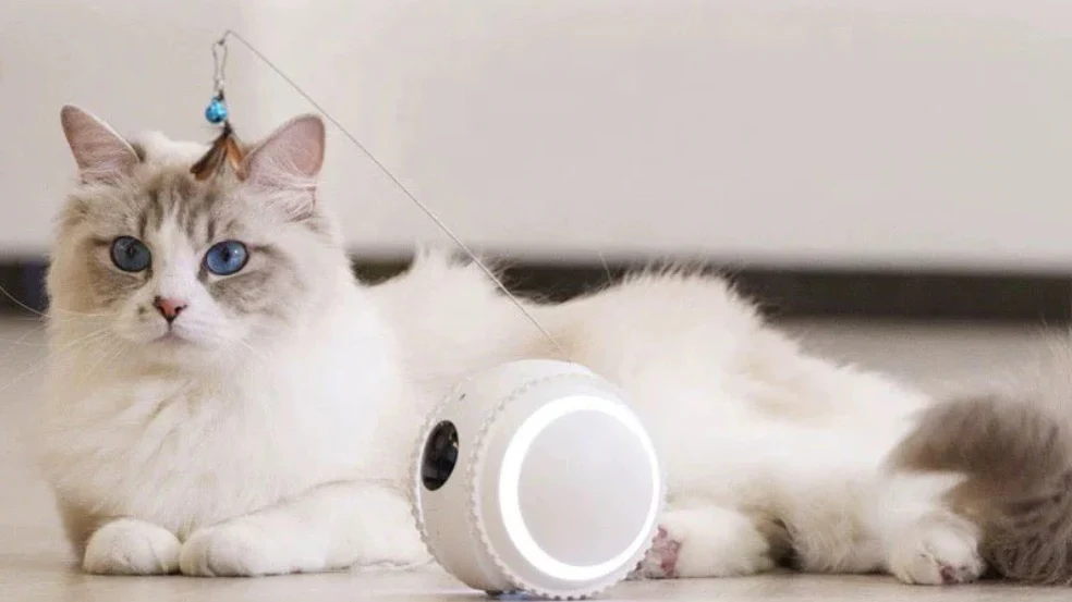 The 7 Best AI Companion Robots for Your Pets in 2025