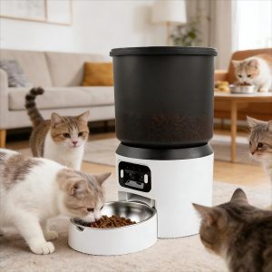 pet Feeder
