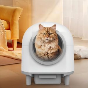 Enclosed Automatic Litter Box